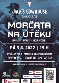 Morčata na útěku + hosté