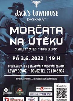 Morčata na útěku + hosté