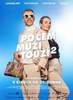 Po čem muži touží 2 (ČR)  2D  BIO SENIOR