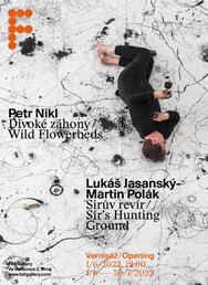 Petr Nikl / Lukáš Jasanský – Martin Polák