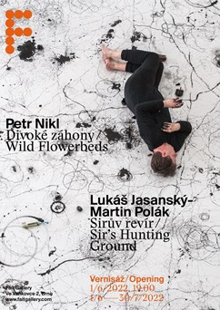 Petr Nikl / Lukáš Jasanský – Martin Polák