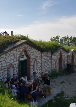 Sklepy pod hvězdami (noční otevřené sklepy)