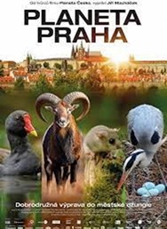 Planeta Praha  (ČR)  2D