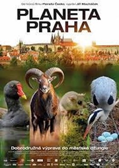 Planeta Praha  (ČR)  2D
