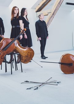Solitutticelli Cello Ensemble (violoncellové kvarteto) 