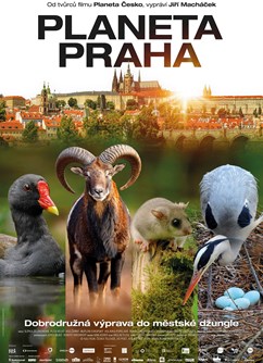 Planeta Praha - Letní kino Litoměřice