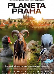 Planeta Praha