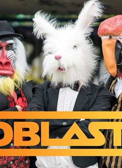 Zooblasters | Plzeň | Anděl