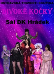 Travesti show Divoké kočky