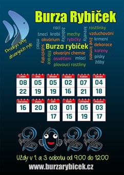 Burza rybiček - Prodejní trhy akvarijních ryb