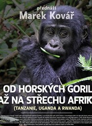 Od horských goril až na střechu Afriky