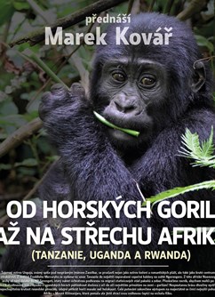 Od horských goril až na střechu Afriky