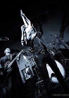 X-Cover 