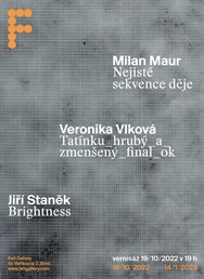 Milan Maur / Veronika Vlková/ Jiří Staněk