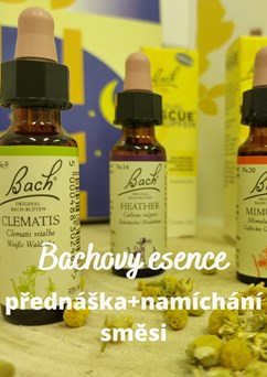 Bachovy květové esence, základní seminář