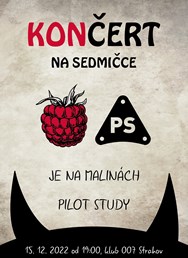 Končert na Sedmičce