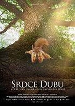 Srdce dubu (Francie)  2D