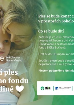 Benefiční ples Nadačního fondu LOVE Dědině