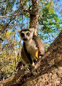 Madagaskar