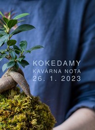 KOKEDAMY | workshop