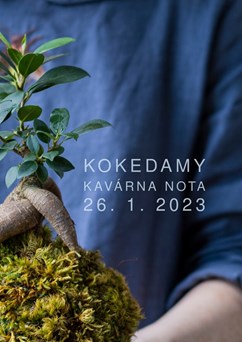 KOKEDAMY | workshop