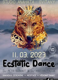 3. Ecstatic Dance Svitavy