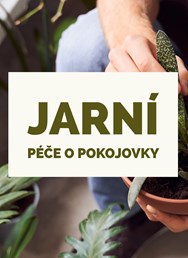 Jarní péče o pokojovky | workshop