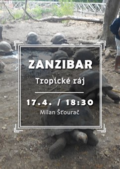 Zanzibar - tropický ráj