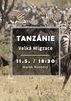 Tanzánie - Velká Migrace