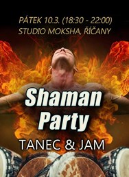 Shaman Party
