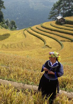 Vítejte ve Vietnamu!