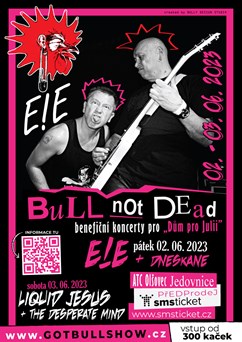 BULL NOT DEAD - E!E/Liquid Jesus/DneskaNe/The Desperate Mind