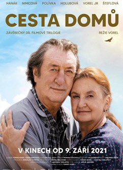 Cesta domů