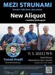 Mezi strunami – New Aliquot, Tomáš Hradil