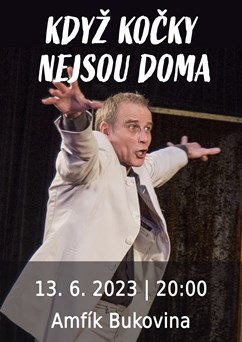 Když kočky nejsou doma | Amfík Bukovina