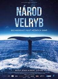 Národ velryb (Francie)  2D