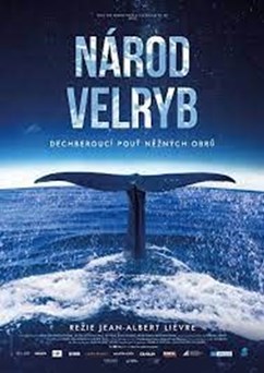Národ velryb (Francie)  2D