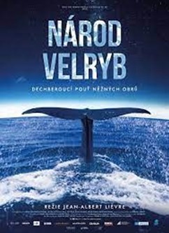 Národ velryb (Francie)  2D