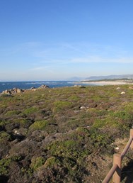 Camino Portugal