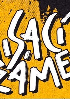 Visací Zámek na zámku v Česticích