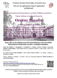 Koncert Ozvěny Navalis