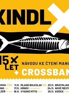 Xindl X