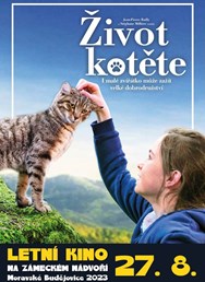 Letní kino: Život kotěte