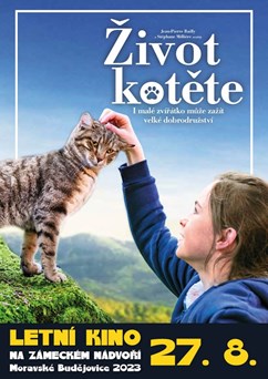 Letní kino: Život kotěte
