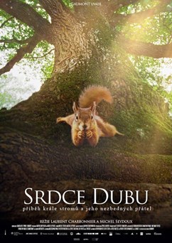 Srdce dubu - Letní kino Litoměřice