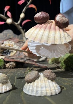Studánka a kouzlo lesa