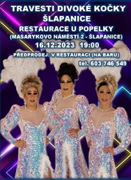 Travesti show Divoké kočky