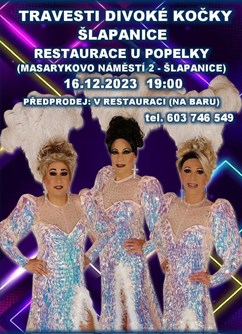 Travesti show Divoké kočky