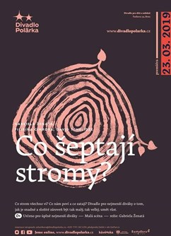 Co šeptají stromy?