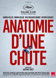 Anatomie pádu  